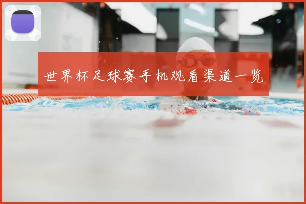 世界杯足球赛手机观看渠道一览