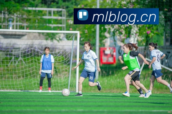 多媒体互动体验