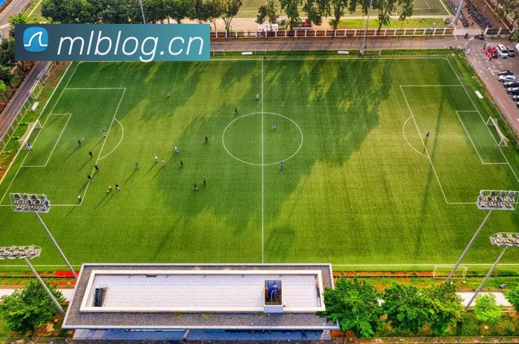 ayx官网iosAPP 体育赛事宣传图